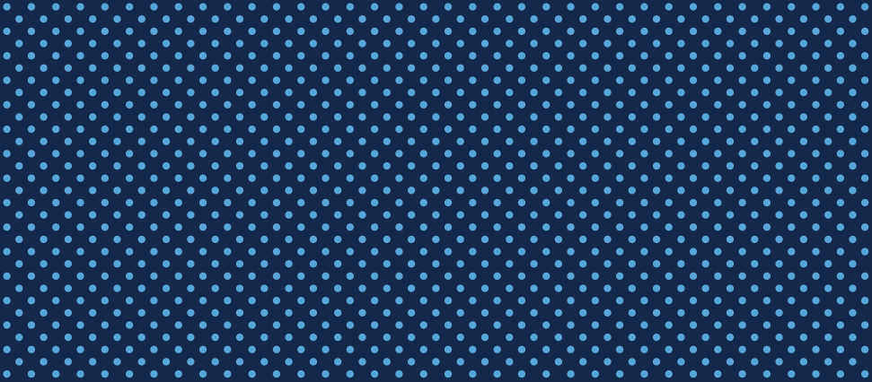 Stone texture with Carolina Blue dots on a navy blue background.