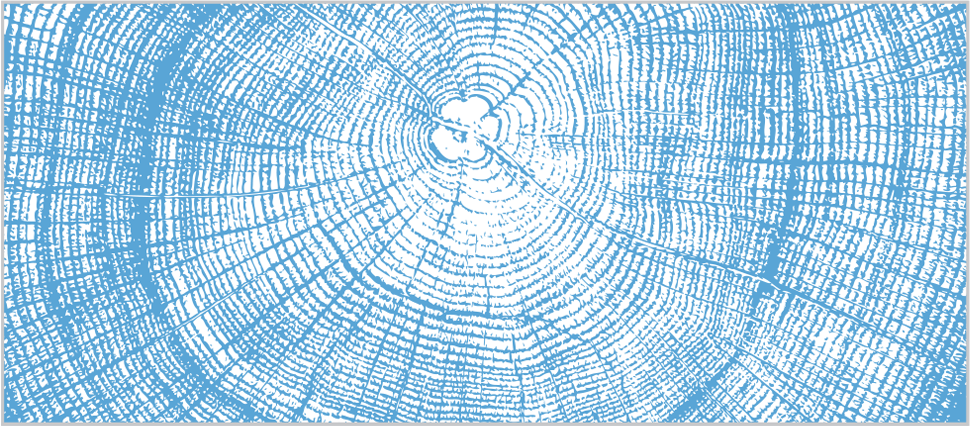 Tree ring texture in Carolina Blue on a white background.